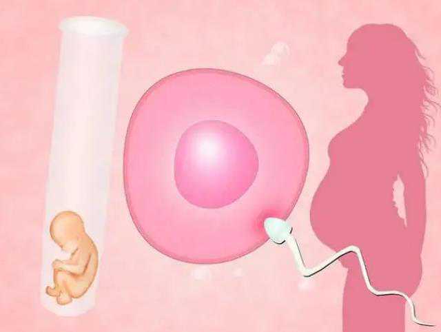 a卵b怀从哪里做,试管婴儿助孕中心：同性可以试管婴儿么？