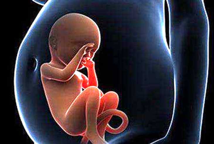 供精试管可以移植双胞胎吗_zvf助孕_E试管：子宫肌瘤有哪些初期表现|国内三甲