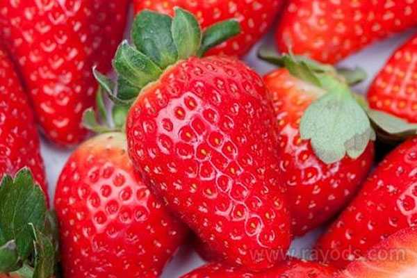 长沙最大的助孕机构_试管移植冻囊胚后12天能吃草莓吗？孕妇可以吃草莓吗