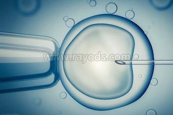 博尔塔拉试管助孕机构排名_博尔塔拉世纪助孕怎么联系_ 取卵是试管流程内必不