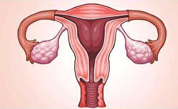 阿拉善盟有多少家助孕_阿拉善盟华博助孕基金_明明胚胎质量很好，为什么做试