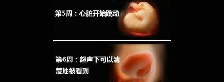 扬州有谁做过供卵试管婴儿_扬州哪里有试管婴儿捐卵供卵_试管婴儿为什么要用