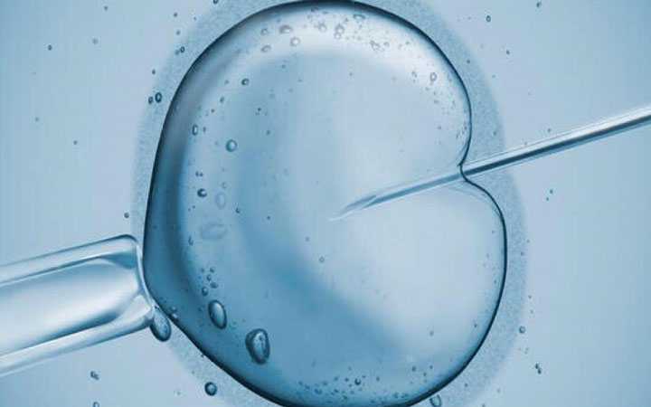 江津供卵能不能做无创dna_AMH值仅0.23，美国试管婴儿微刺激方案一次怀上双胎