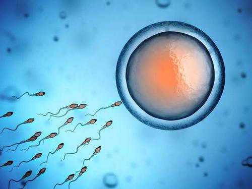广安试管供卵代生机构_广安卵巢早衰可以供卵吗_精子成活率低还可以做福州助