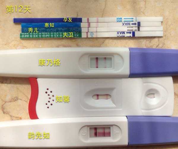 九龙坡借卵代孕价钱_试管移植囊胚第十天测出白板的准妈妈别担心