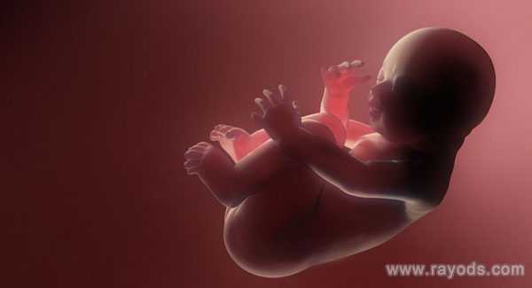 吐鲁番代孕公司_吐鲁番代孕靠谱公司_泰国试管婴儿攻略之遇到胚胎停育该如何