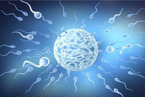 合川最新代孕案例_合川供卵代孕过程_赴美国做试管婴儿：购买精子的费用与流