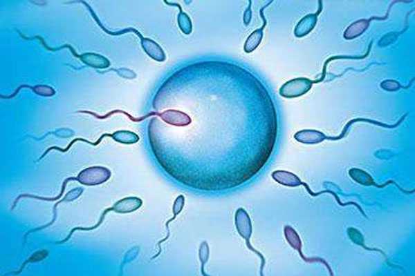 合川最新代孕案例_合川供卵代孕过程_赴美国做试管婴儿：购买精子的费用与流