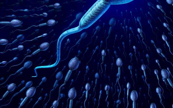 宫颈闭锁_卵巢早衰怀孕方案|河源三代试管遗传疾病筛查