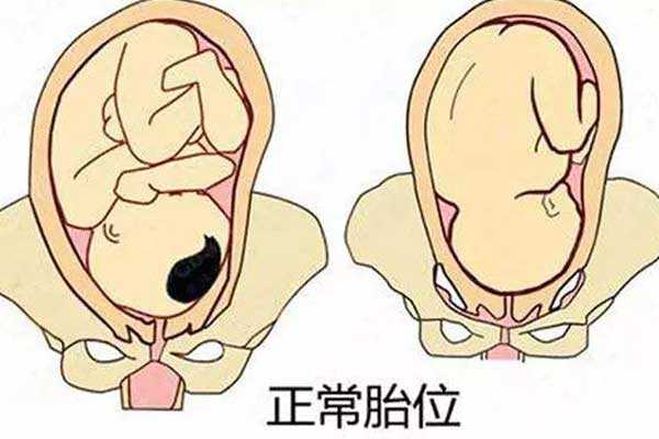 台湾代孕多少费用_台湾想找代孕中介_张家界试管婴儿成功率-2023张家界三代试