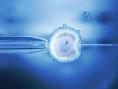果洛单身代孕过程_果洛试管代孕微信群_在嘉峪关助孕试管婴儿选择哪种移植方