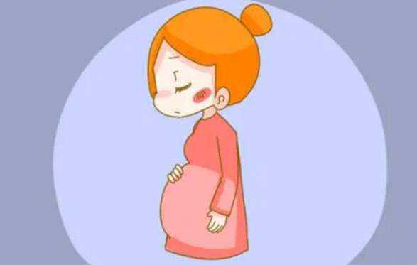 辅助生殖前吃什么有助于好孕